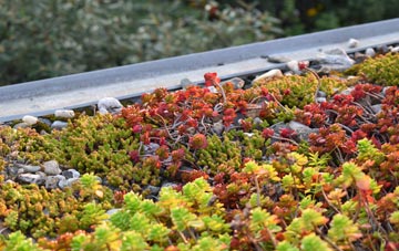 the cost of Lower Earley green roof installation