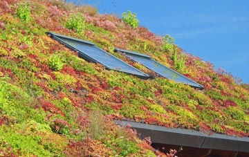 Lower Earley living roof systems